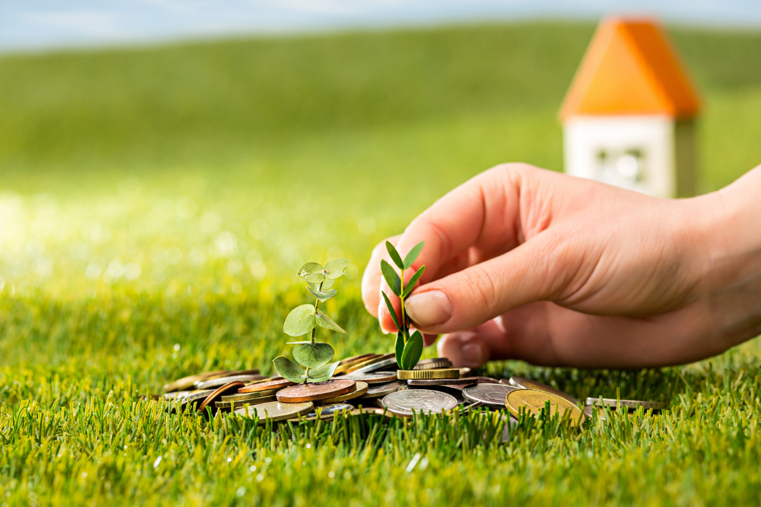 perbedaan menabung vs investasi
